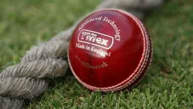 Right Cricket Ball