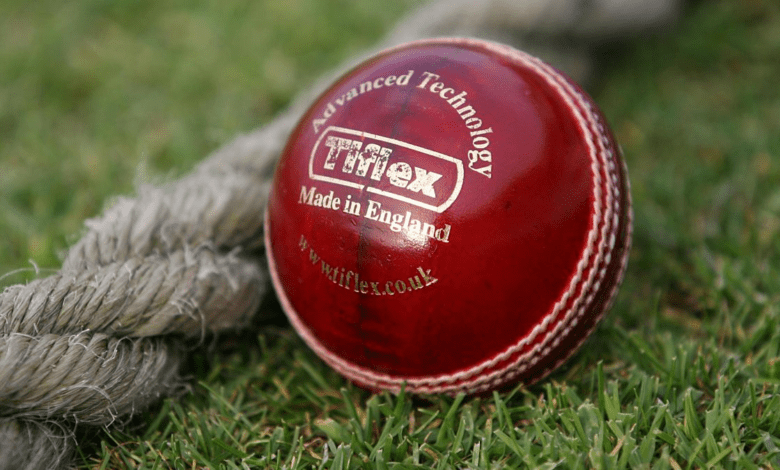 Right Cricket Ball